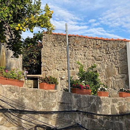 Casa Dona Olga River View Porto Bagian luar foto