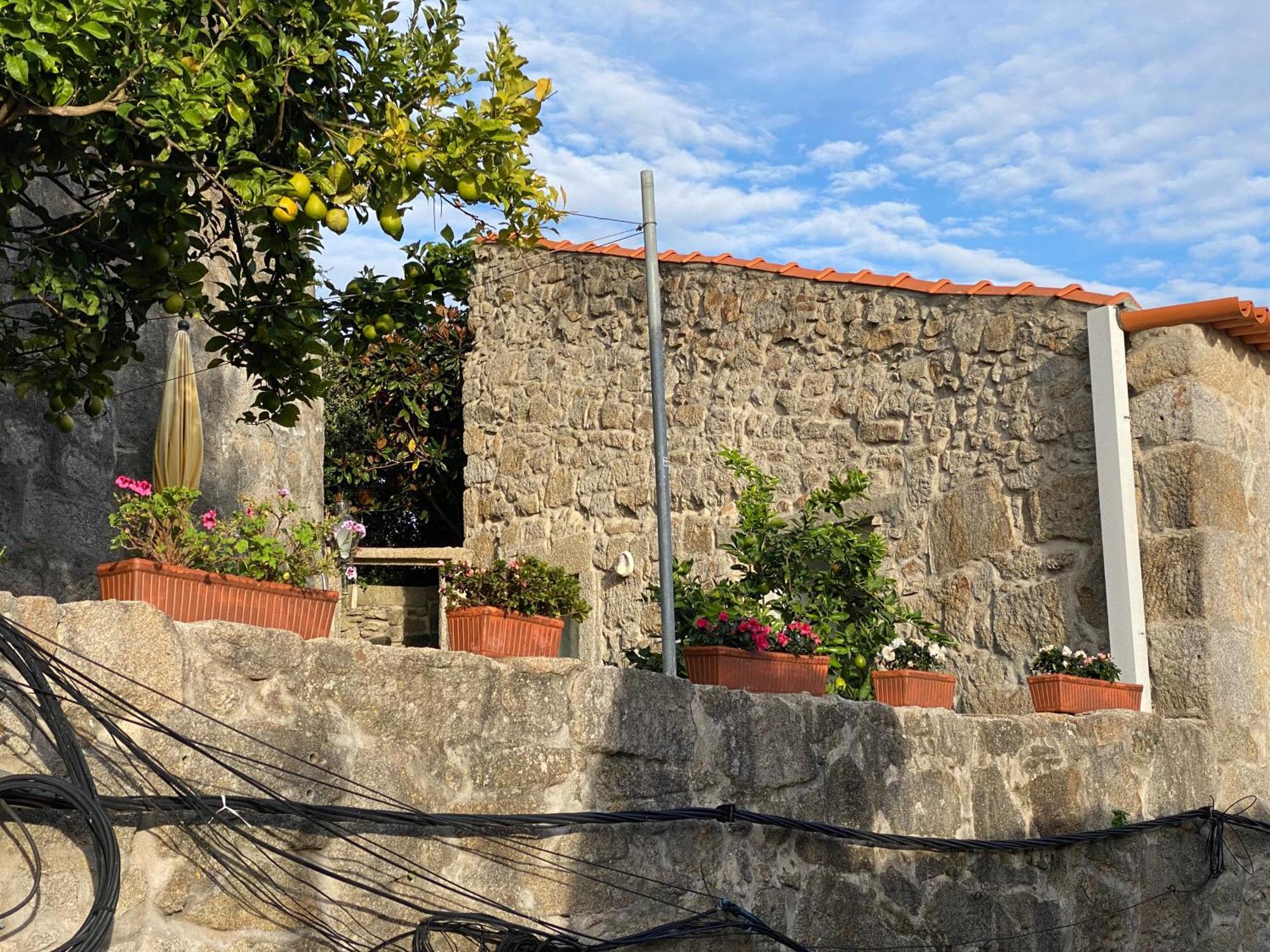 Casa Dona Olga River View Porto Bagian luar foto