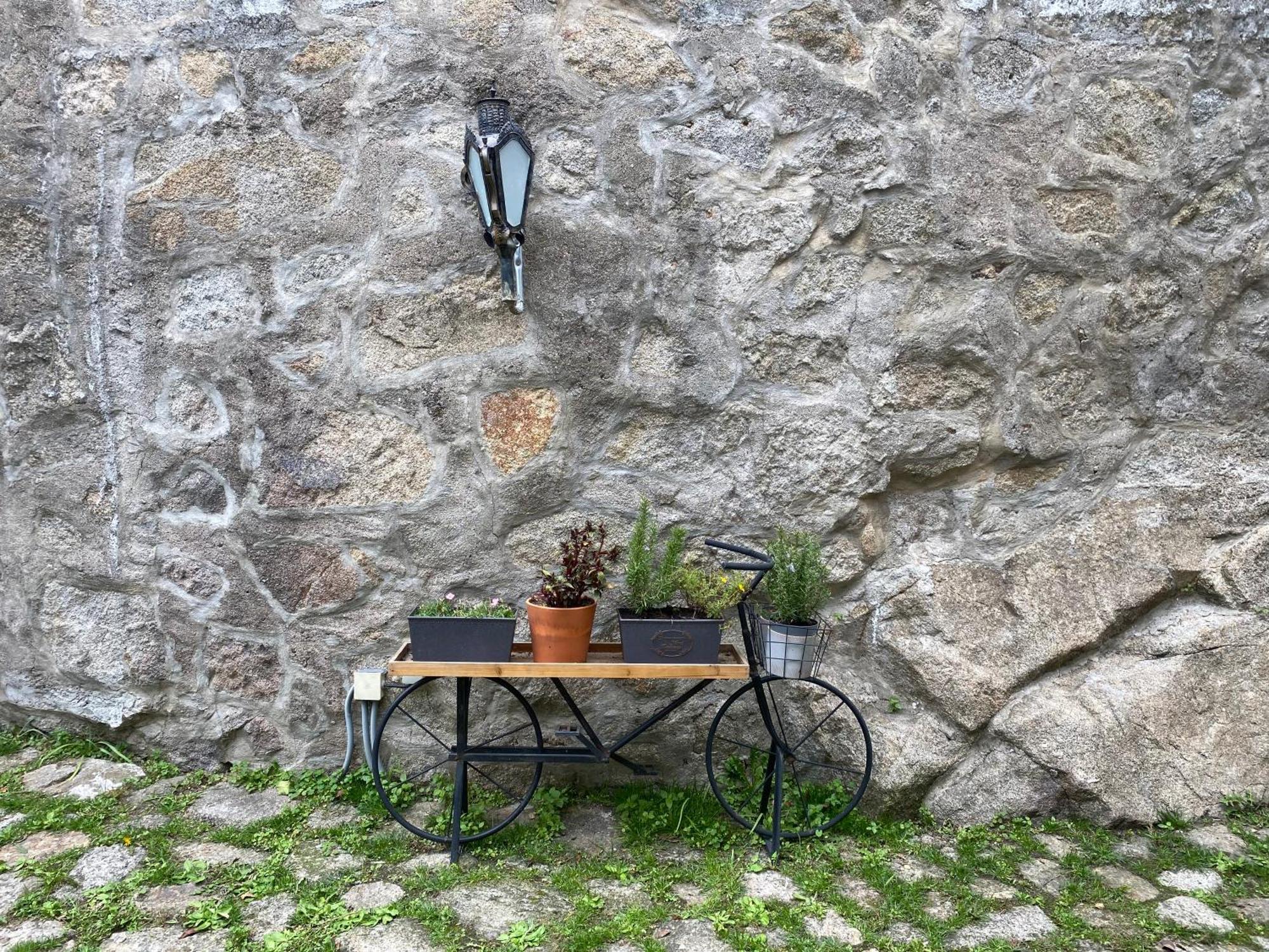 Casa Dona Olga River View Porto Bagian luar foto