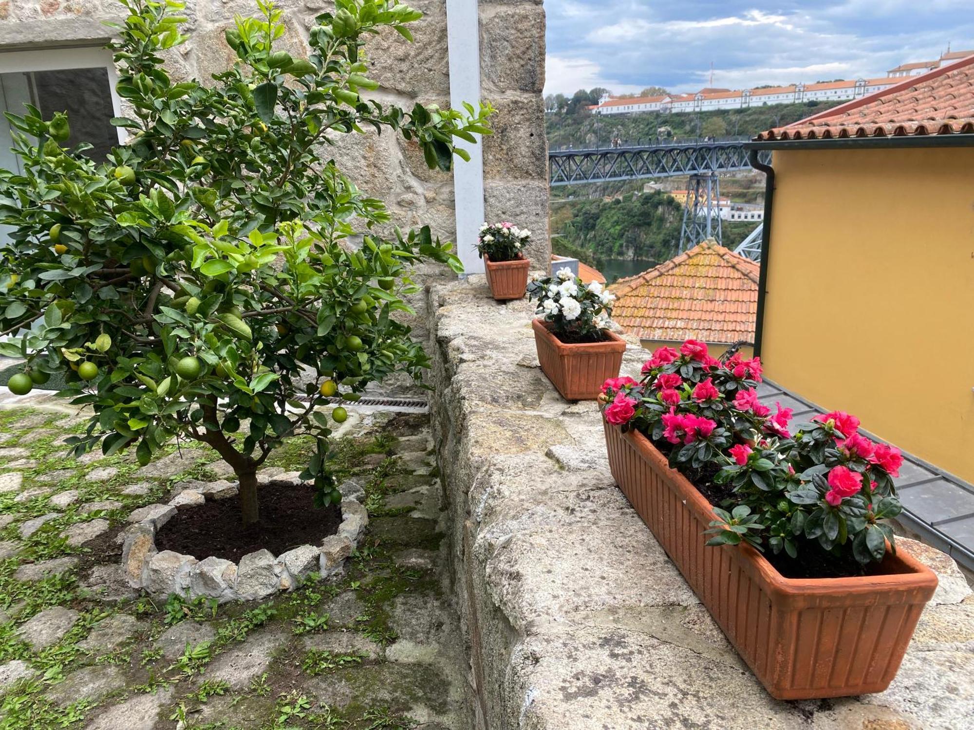 Casa Dona Olga River View Porto Bagian luar foto