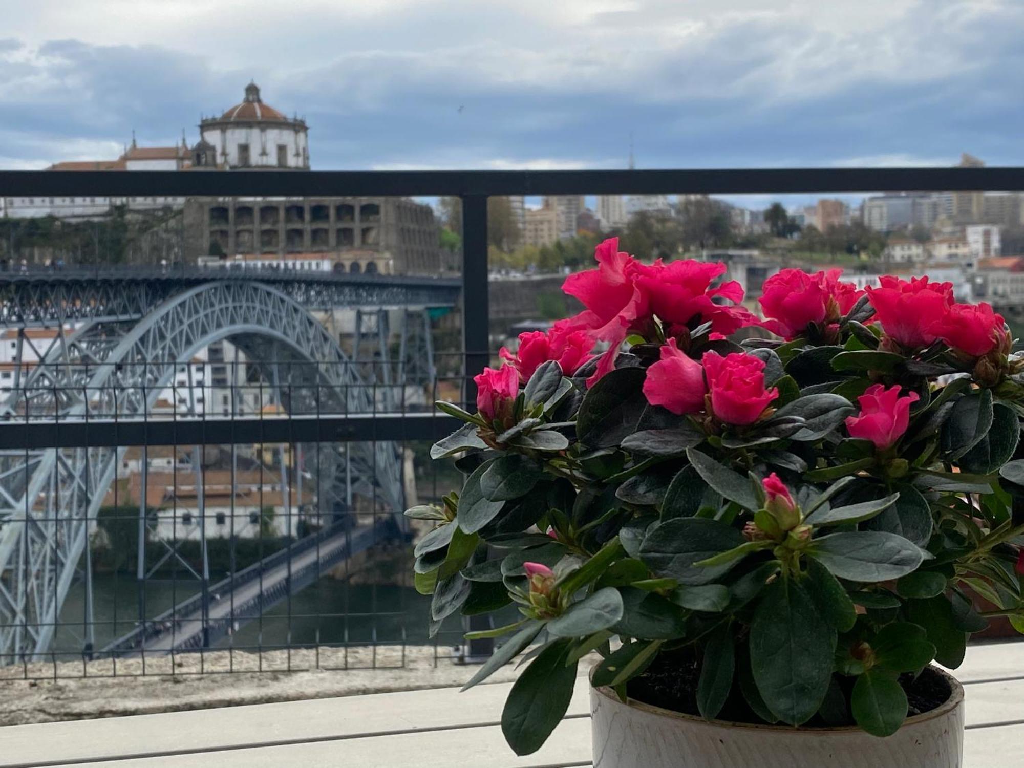 Casa Dona Olga River View Porto Bagian luar foto